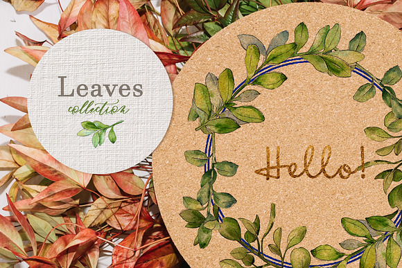 Boxwood Watercolor png  in Illustrations - product preview 5