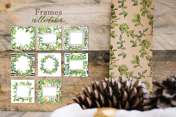 Boxwood Watercolor png  in Illustrations - product preview 6
