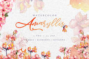 Amaryllis Watercolor Pink png