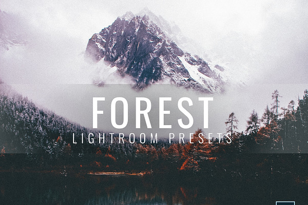 Lightroom Presets Moody Forest