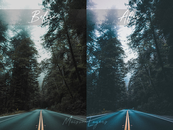 Lightroom Presets Moody Forest in Add-Ons - product preview 1