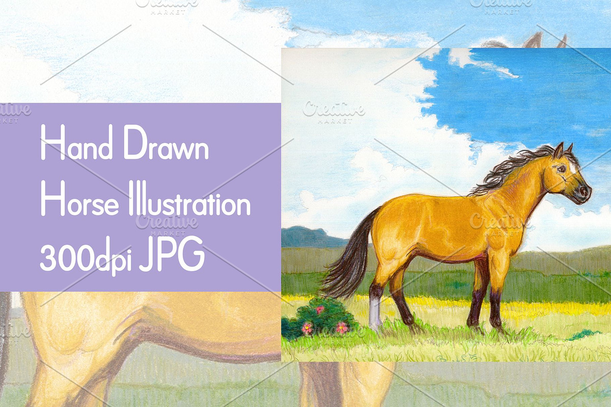 Buckskin Horse Illustration in Graphics - product preview 8