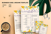 Pack Resume and Card Template / N