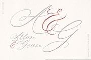 Allure and Grace. Calligraphy Font