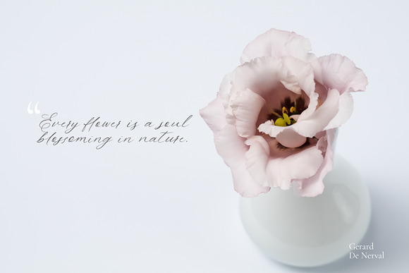 Allure and Grace. Calligraphy Font in Calligraphy Fonts - product preview 6