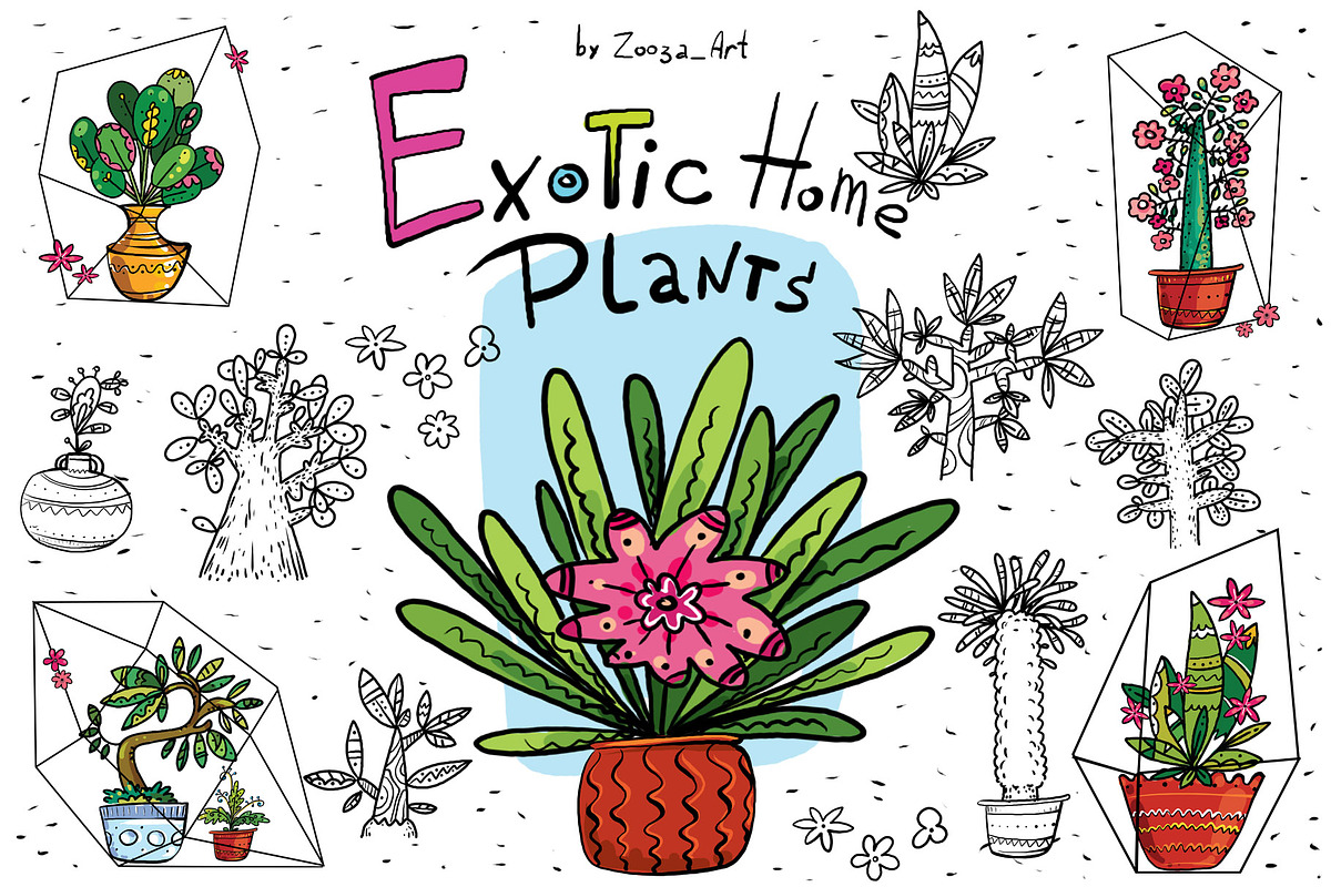 Exotic Home Plants in Illustrations - product preview 8