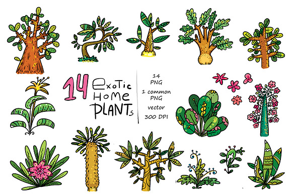 Exotic Home Plants in Illustrations - product preview 1