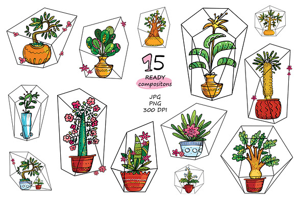 Exotic Home Plants in Illustrations - product preview 3