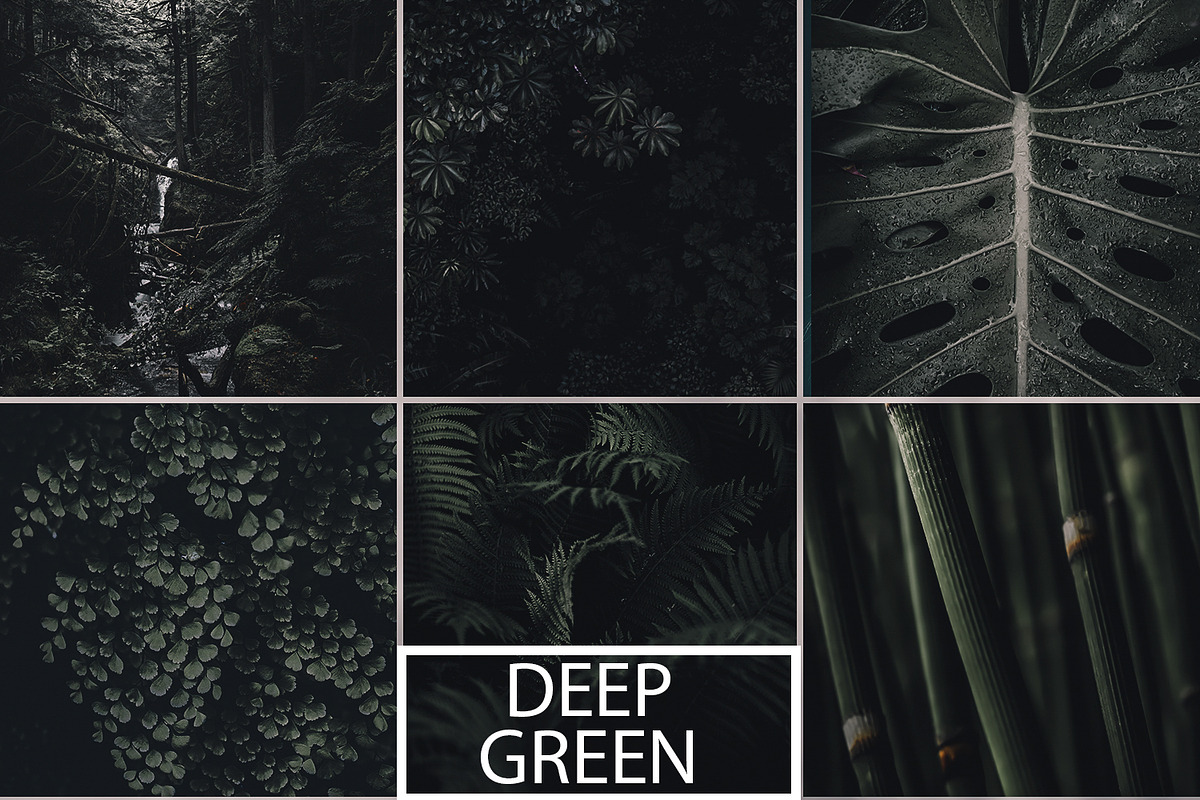Deep Green Preset in Photoshop Plugins - product preview 8