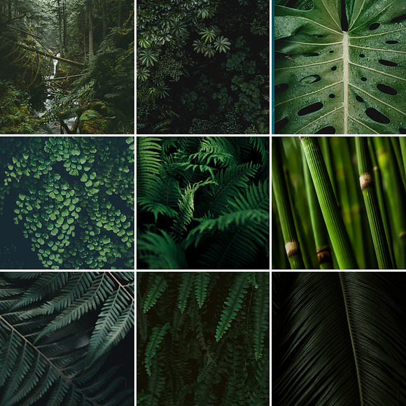 Deep Green Preset in Photoshop Plugins - product preview 1