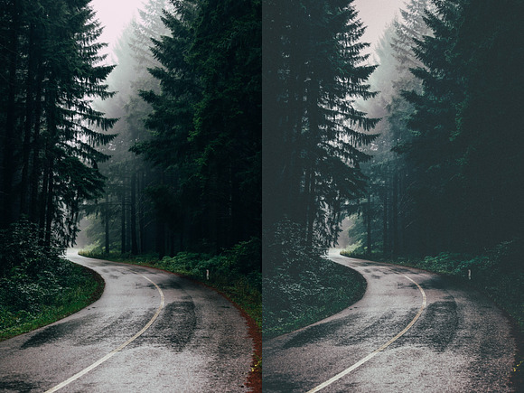 Lightroom Presets Moody Forest in Add-Ons - product preview 3