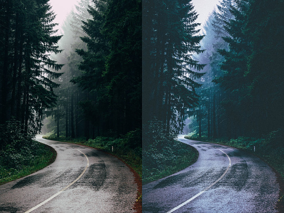 Lightroom Presets Moody Forest in Add-Ons - product preview 4