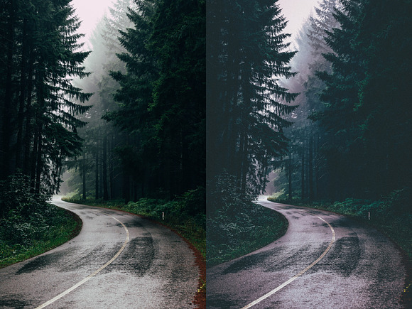 Lightroom Presets Moody Forest in Add-Ons - product preview 6