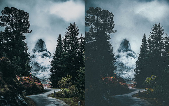 Lightroom Presets Moody Forest in Add-Ons - product preview 7