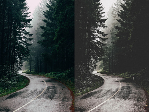 Lightroom Presets Moody Forest in Add-Ons - product preview 8