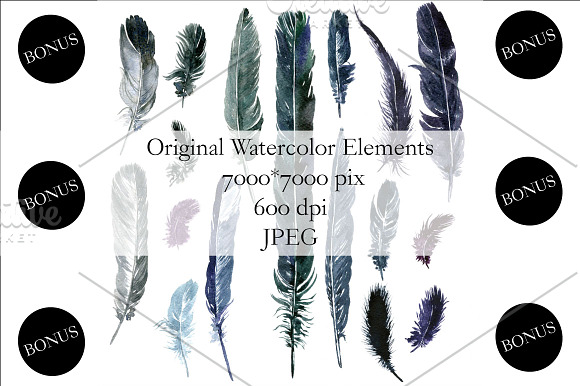Watercolor Feathers in Objects - product preview 3