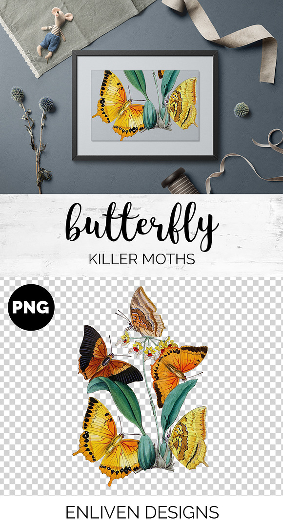 Killer Moths Orange Butterflies in Illustrations - product preview 1