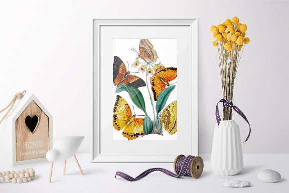 Killer Moths Orange Butterflies in Illustrations - product preview 3