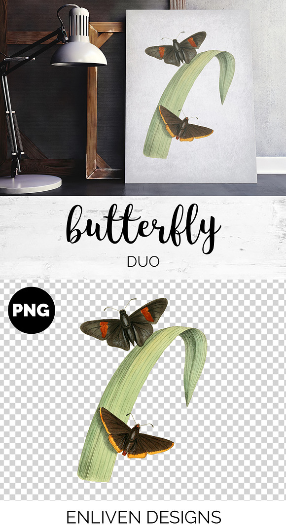 Butterfly Duo Vintage Watercolor in Illustrations - product preview 1