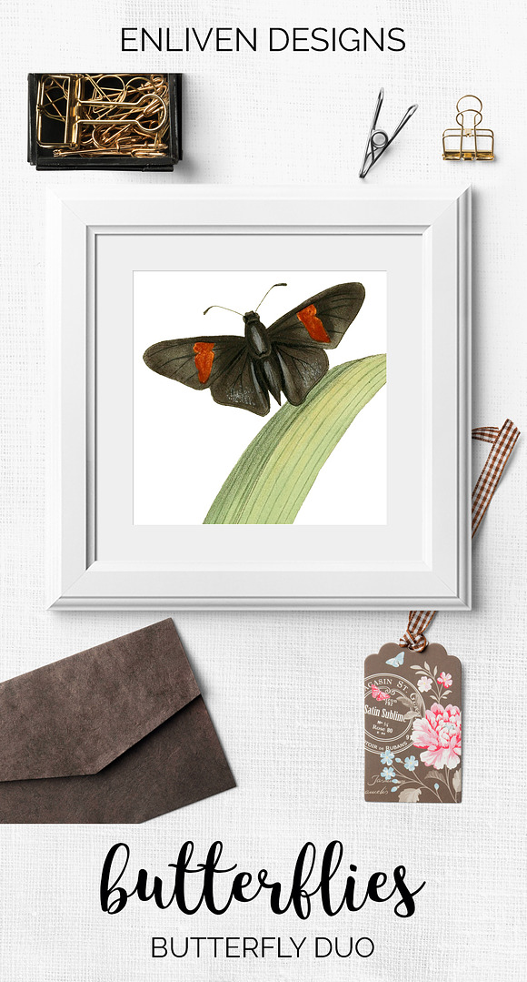 Butterfly Duo Vintage Watercolor in Illustrations - product preview 7