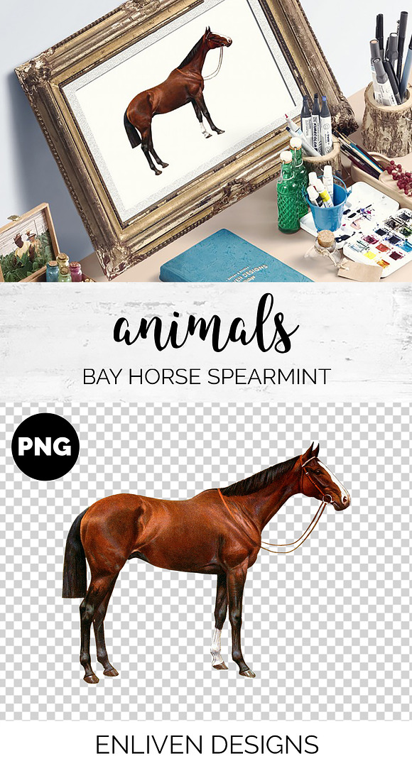 Horse Bay Vintage Watercolor in Illustrations - product preview 1