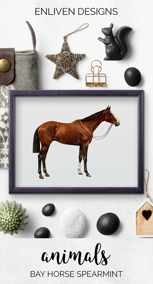 Horse Bay Vintage Watercolor in Illustrations - product preview 7