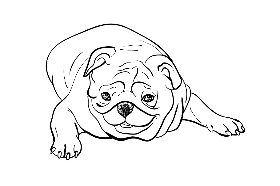 Lying pug dog in Illustrations - product preview 8