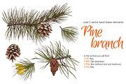 Pine Branch Sketch