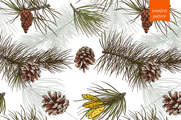 Pine Branch Sketch in Illustrations - product preview 1