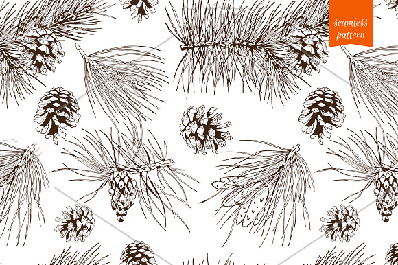 Pine Branch Sketch in Illustrations - product preview 2