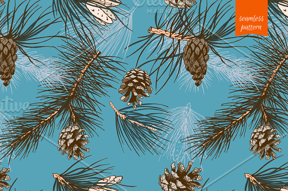 Pine Branch Sketch in Illustrations - product preview 3