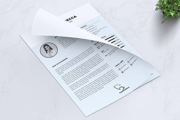 Minimalist CV Resume Vol. 04 in Resume Templates - product preview 4