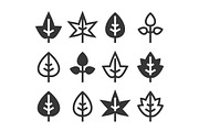 Leaf Icons Set
