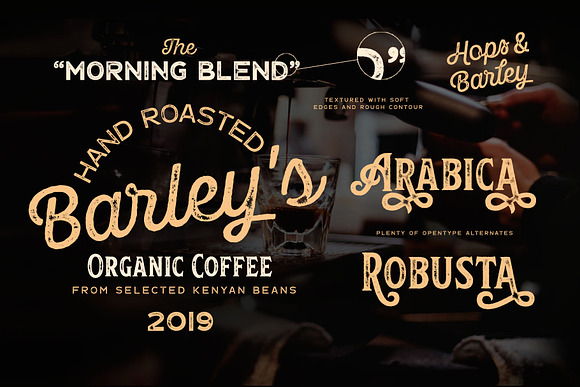 Hops And Barley font Collection in Display Fonts - product preview 6