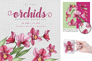 Pink Orchids Watercolor png 