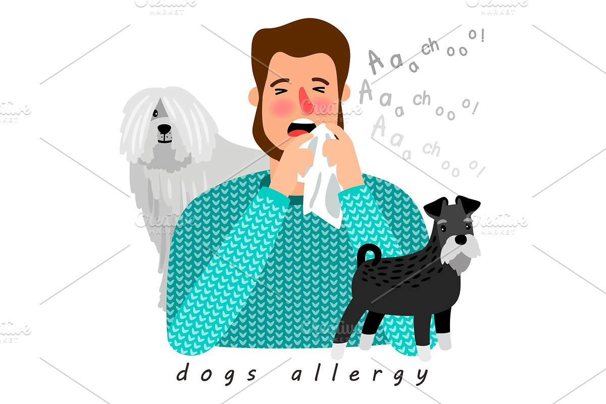 Dogs allergy desease in Objects - product preview 8