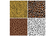Spotted cat fur patterns