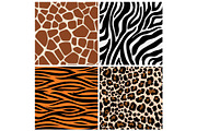 Zebra, giraffe and leopard patterns