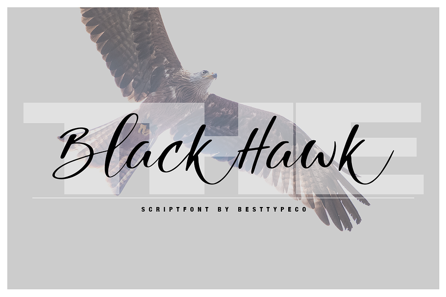 THE BlackHawk in Script Fonts - product preview 8