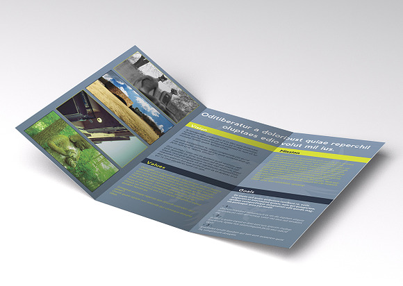 Trifold Brochures Bundle 02 in Brochure Templates - product preview 4