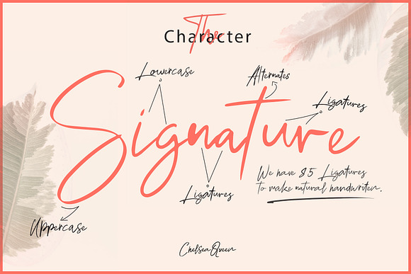 Chelsea Queen || Elegant Signature in Elegant Fonts - product preview 1