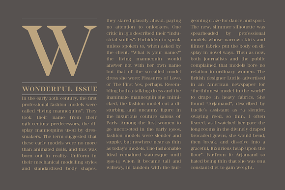 Romina / Neoclassical font family in Serif Fonts - product preview 6