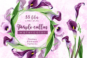 Purple callas Watercolor png
