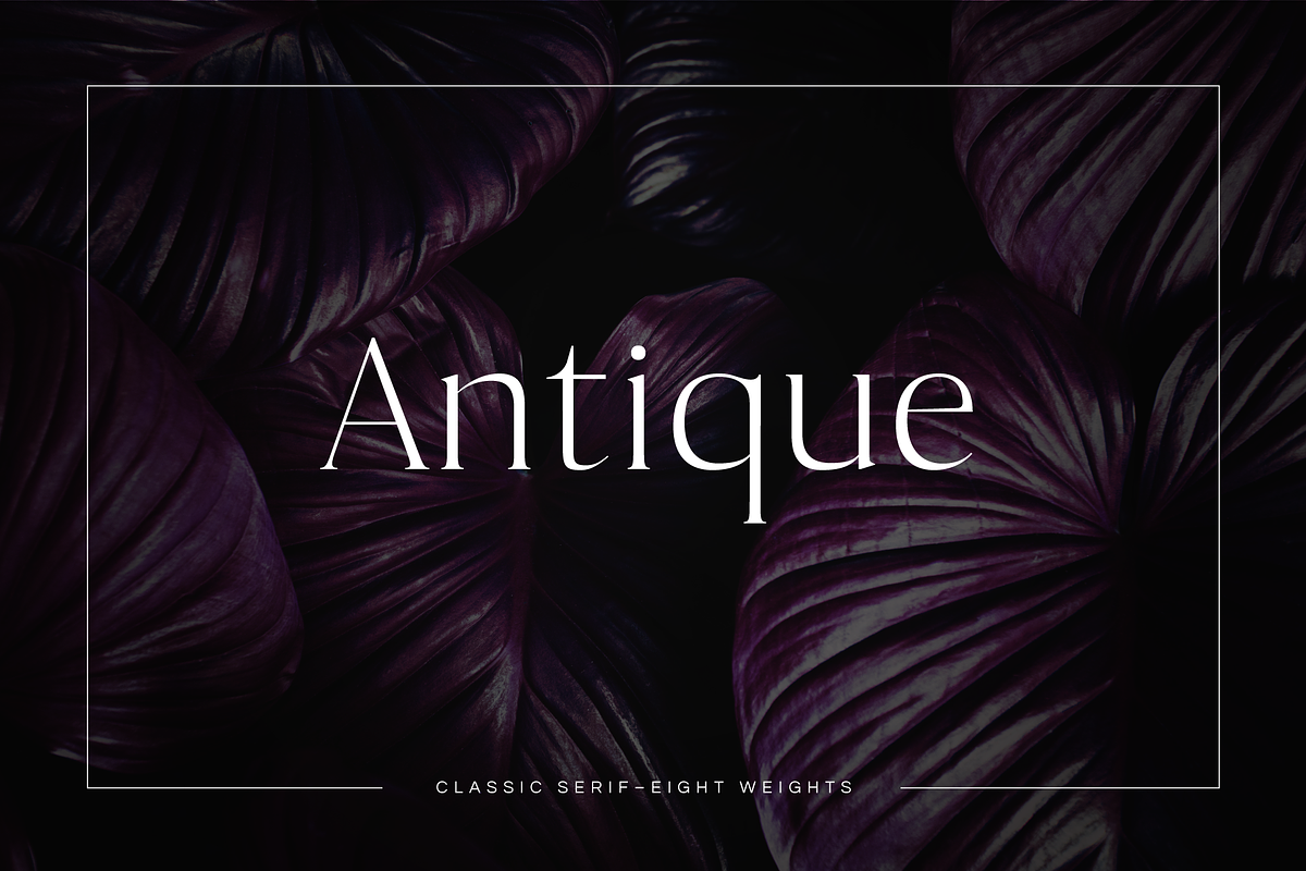 Antique - Luxury Serif Typeface in Serif Fonts - product preview 8