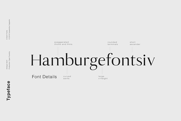 Antique - Luxury Serif Typeface in Serif Fonts - product preview 2