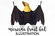 Bat Vintage Watercolor Fruit Bat