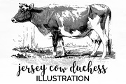Cow Vintage Jersey Cow Duchess