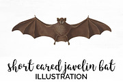 Bat Vintage Short-Eared Javelin Bat