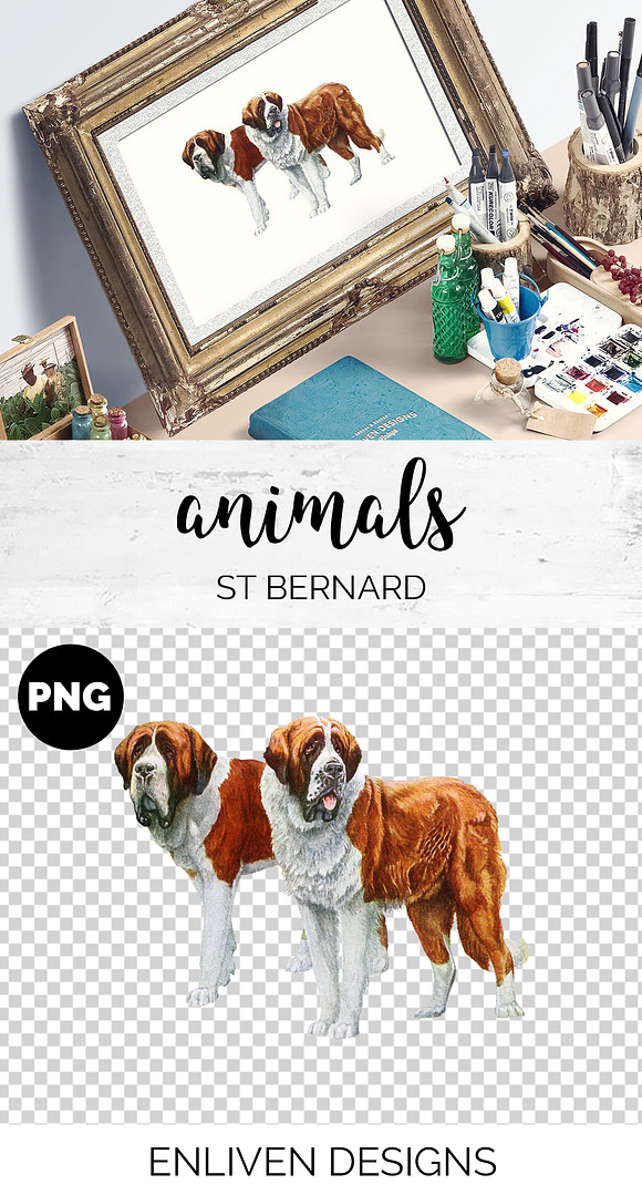 Saint Bernard Vintage Dog Watercolor in Illustrations - product preview 1