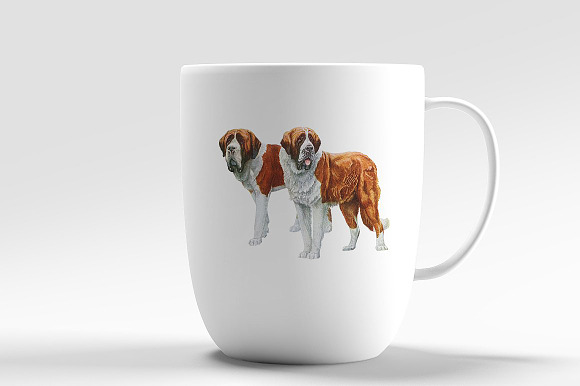 Saint Bernard Vintage Dog Watercolor in Illustrations - product preview 5